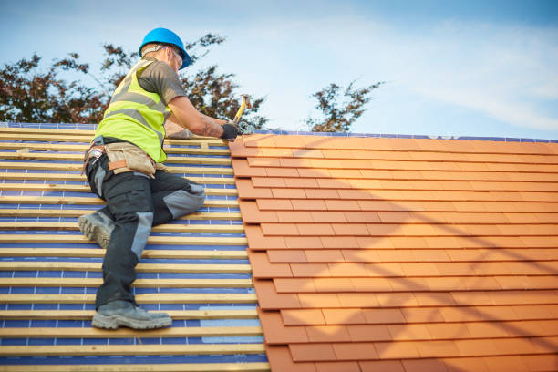 Best Gutter Installation and Repair  in East Palestine, OH